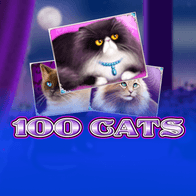 100 Cats game icon